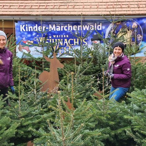 Kindermärchenwald beim Weizer Weihnachtsmarkt | © Oststeiermark Tourismus | Nina Darnhofer