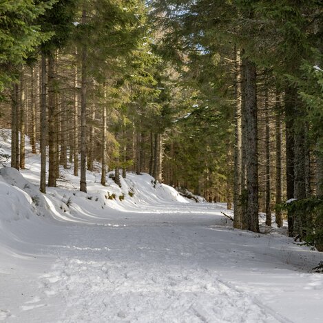 Schneeschuhwanderweg am Hochwechsel in der Oststeiermark | © Oststeiermark Tourismus | Rene Strasser
