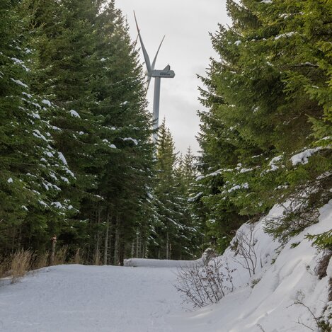 Schneeschuhwanderweg am Hochwechsel | © Oststeiermark Tourismus | Rene Strasser