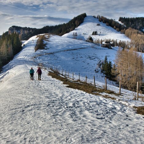 Schneeschuhwandern auf der Tyrnauer Alm in der Oststeiermark | © Oststeiermark Tourismus
