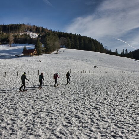 Schneeschuhwandern auf der Tyrnauer Alm in der Oststeiermark | © Oststeiermark Tourismus