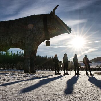 Schneeschuhwandern auf der Tyrnauer Alm in der Oststeiermark | © Oststeiermark Tourismus