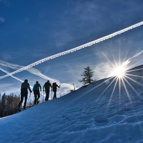 Schneeschuhwandern auf der Tyrnauer Alm in der Oststeiermark | © Oststeiermark Tourismus