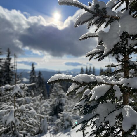 Schneelandschaft bei der Skitour im Joglland-Waldheimat | © Oststeiermark Tourismus | Anna Fink
