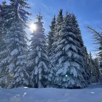 Schneelandschaft bei der Skitour im Joglland-Waldheimat | © Oststeiermark Tourismus | Anna Fink