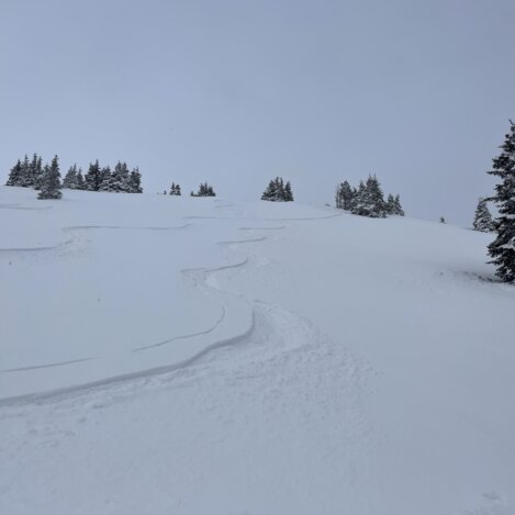 Schneelandschaft bei der Skitour im Joglland-Waldheimat | © Oststeiermark Tourismus | Anna Fink