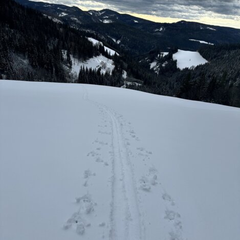 Schneelandschaft bei der Skitour im Joglland-Waldheimat | © Oststeiermark Tourismus | Anna Fink