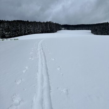 Skitourspuren in der Schneelandschaft | © Oststeiermark Tourismus | Anna Fink