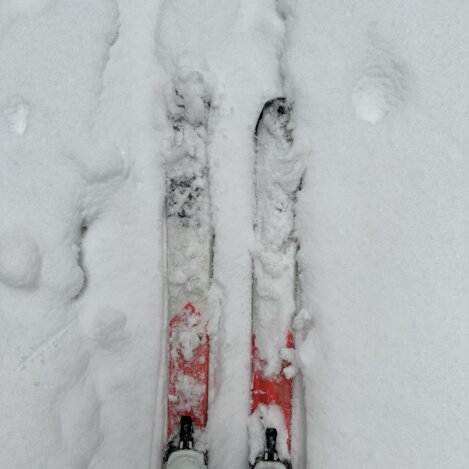 Tourenski im Schnee | © Oststeiermark Tourismus | Anna Fink