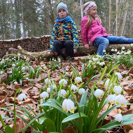 Kinder bei den Frühlingsknotenblumen im Mühlwald | © Oststeiermark Tourismus | Nina Ressel