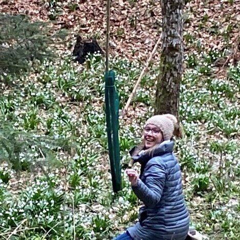 Frühlingsknotenblumenplatz im Mühlwald | © Oststeiermark Tourismus | Nina Ressel