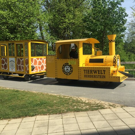 Zug in der Tierwelt Herberstein in der Oststeiermark