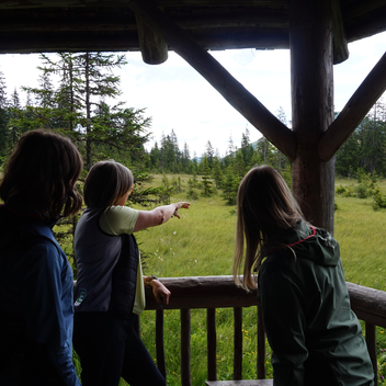 Naturpark Almenland Führung | ©  Oststeiermark Tourismus | Chiara Raith