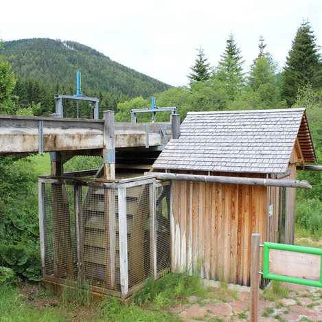 Energiepark Teichalm in der Oststeiermark | ©  Oststeiermark Tourismus | Mandl Gabi