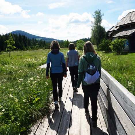 Weg im Naturpark Almenland | ©  Oststeiermark Tourismus | Chiara Raith