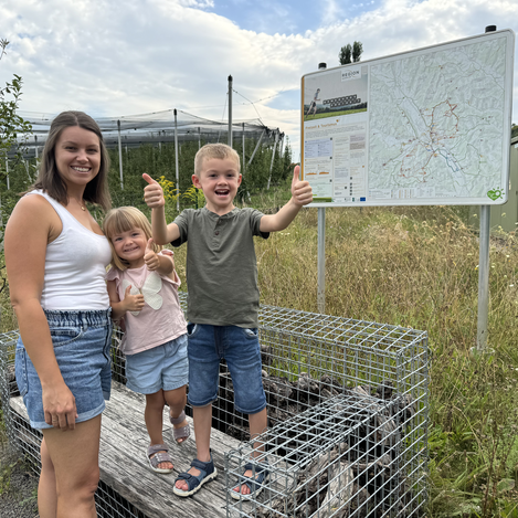 Buschenschankwandern Gleisdorf | © Stadtmarketing Gleisdorf | Ulrich Gutmann