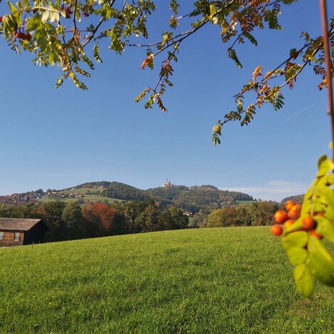 Ausblick zum Pöllauberg in der Oststeiermark | ©  Oststeiermark Tourismus | Christine Pollhammer