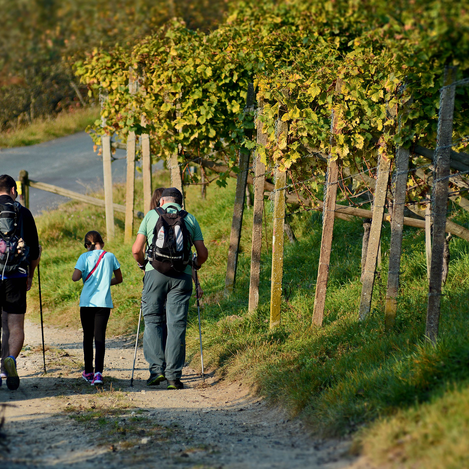 Sturmwanderung in der Oststeiermark | ©  Oststeiermark Tourismus | Christian Strassegger