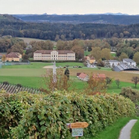 Schloss Schielleiten im Apfelland in der Oststeiermark | © Oststeiermark Tourismus
