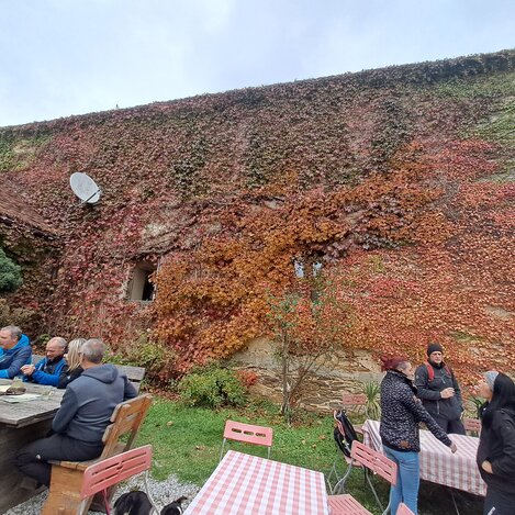 Gäste beim Buschenschank Haider in der Oststeiermark | © Oststeiermark Tourismus