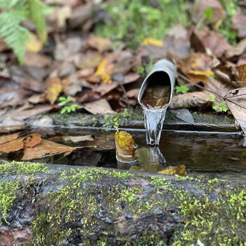 Wasserquelle im Wald | © Naturpark Almenland | Elisabeth Weinberger