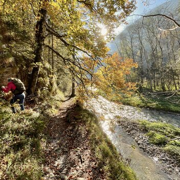 Raabklamm in der Oststeiermark | © Naturpark Almenland | Elisabeth Weinberger