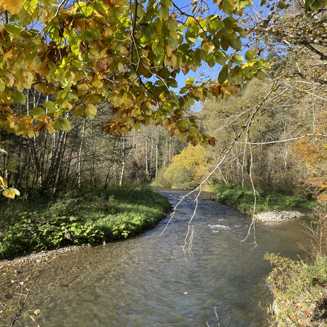 Raabklamm in der Oststeiermark | © Naturpark Almenland | Elisabeth Weinberger