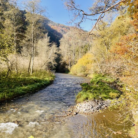 Raabklamm in der Oststeiermark | © Naturpark Almenland | Elisabeth Weinberger