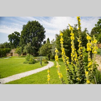 Schlosspark Hartberg in der Oststeiermark | Bernhard Bergmann | © Bernhard Bergmann