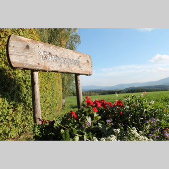 Blumen im Europapark in St. Jakob im Walde in der Region Joglland-Waldheimat | ©  Oststeiermark Tourismus | Birgit Kandlbauer