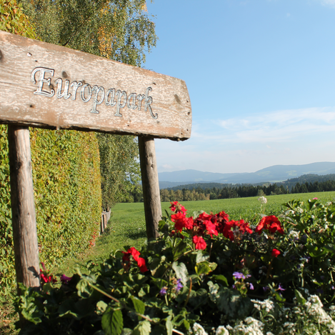 Flowers at Europapark in St. Jakob im Walde | ©  Oststeiermark Tourismus | Birgit Kandlbauer