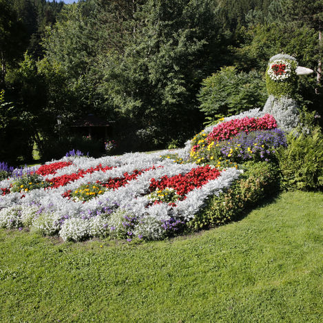 Flower peacock in Mönichwald | © Tourismusverein Mönichwald | Maria Rauchenberger | © Tourismusverein Mönichwald / Rauchenberger