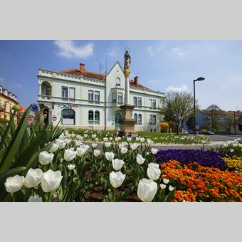 Blühender Kreisverkehr in Hartberg | © Oststeiermark Tourismus | Bernhard Bergmann