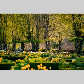 Schlossgarten Herberstein | © Oststeiermark Tourismus | Bernhard Bergmann