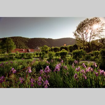 Schlossgarten Herberstein | © Oststeiermark Tourismus | Bernhard Bergmann