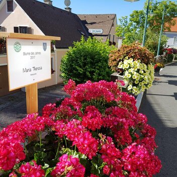 Street of flowers of the year in Pöllauberg | © TV Oststeiermark | Christine Schwetz