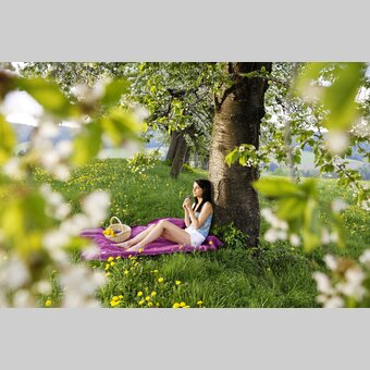 Frau picknickt in Blumenwiese | © Oststeiermark Tourismus | Bernhard Bergmann