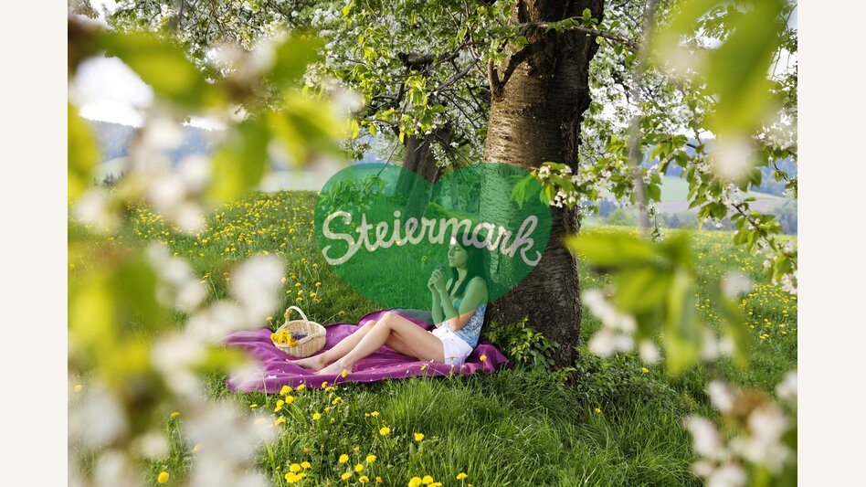 Frau picknickt in Blumenwiese | © Oststeiermark Tourismus | Bernhard Bergmann