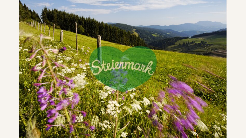 Panoramablick von der Sommeralm | Bernhard Bergmann | © Oststeiermark Tourismus, Bernhard Bergmann