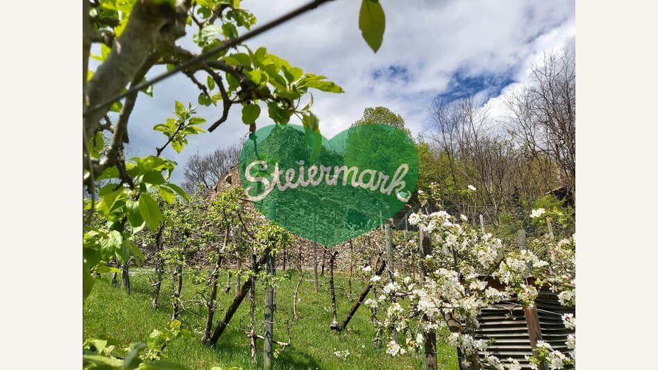 Blüten um Schloss Herberstein in der Oststeiermark | © Oststeiermark Tourismus | Christine Pollhammer