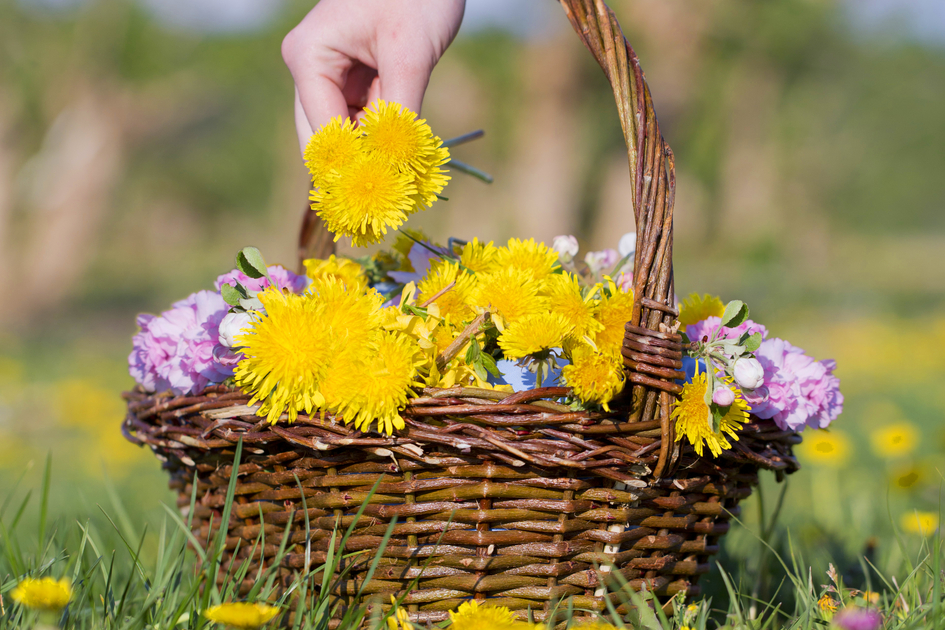 Dandelion basket on the Styrian Flower Road in Eastern Styria | © TV Oststeiermark | Maria Rauchberger