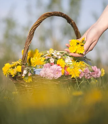 Flower basket with dandelions in eastern Styria | © TV Oststeiermark | Maria Rauchberger