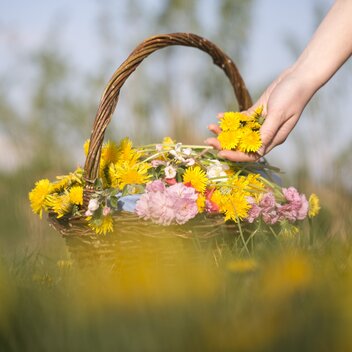 Blumenkorb mit Löwenzahn in der Oststeiermark | © TV Oststeiermark | Maria Rauchberger