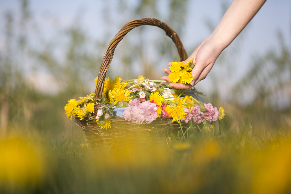 Flower basket with dandelions in eastern Styria | © TV Oststeiermark | Maria Rauchberger