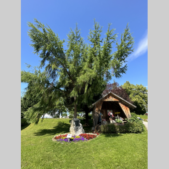 Europapark in St. Jakob im Walde | © 
Oststeiermark Tourismus