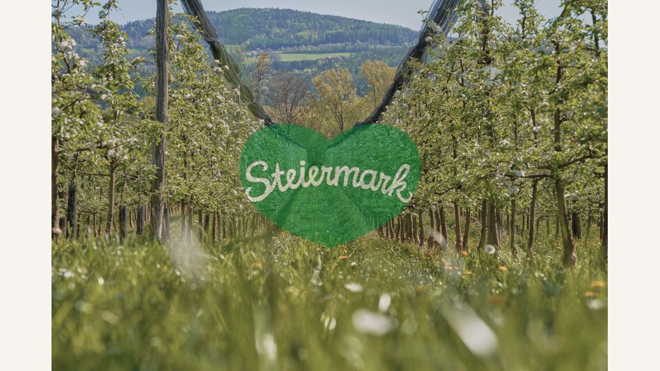 Apfelgärten in Puch bei Weiz | © Oststeiermark Tourismus | Markus Lang-Bichl