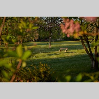 Frühlingslandschaft mit Bankerl in Pöllau | © Oststeiermark Tourismus | Markus Lang-Bichl