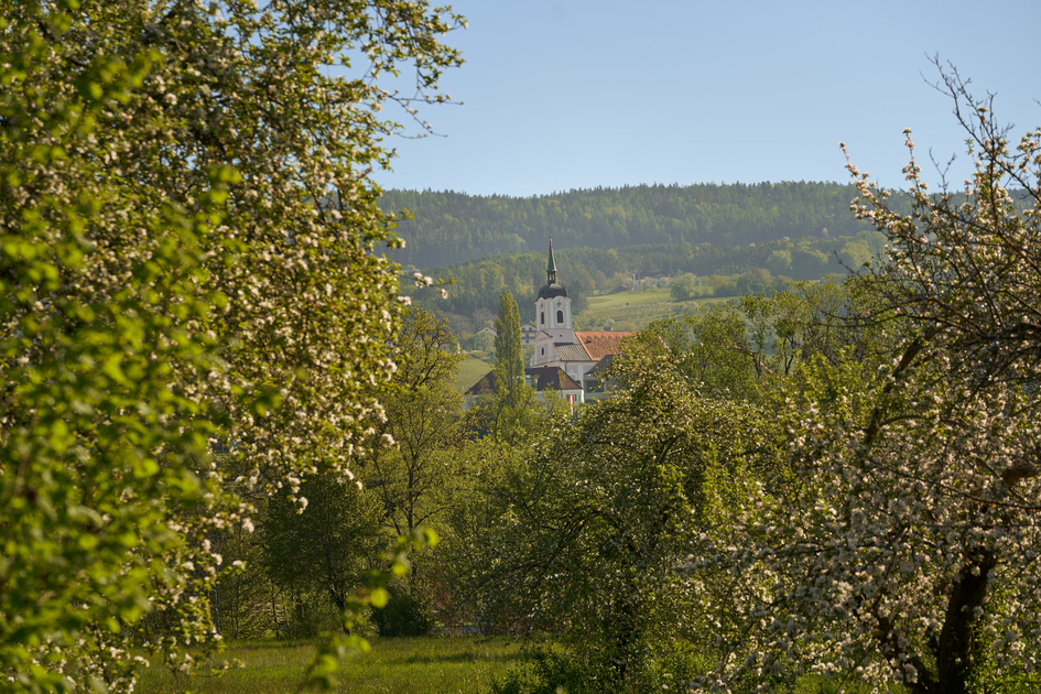 Spring landscape in Stubenberg in Eastern Styria | © Oststeiermark Tourismus | Lang-Bichl - RKP