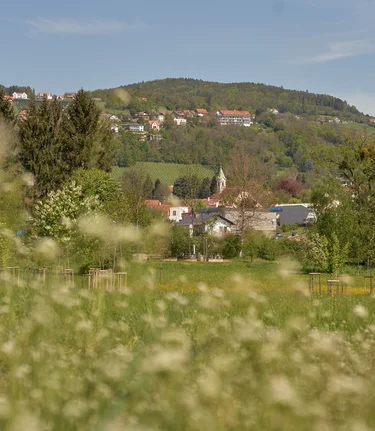 Spring landscape in Hartberg | © Oststeiermark Tourismus | Markus Lang-Bichl