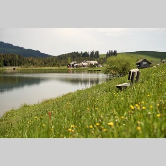 Teichalmsee in der Oststeiermark | ©  Oststeiermark Tourismus | Markus Lang-Bichl